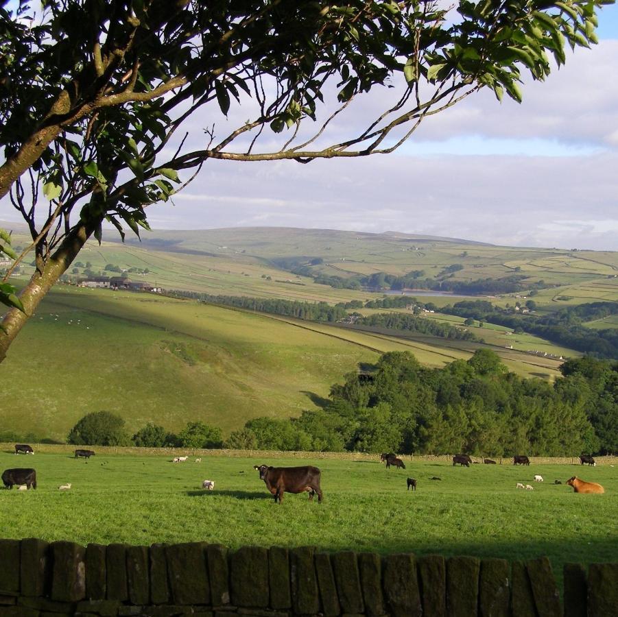 Bed and Breakfast Coddy'S Farm Holmfirth Exterior foto